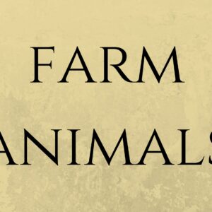 Flash cards FARM ANIMALS