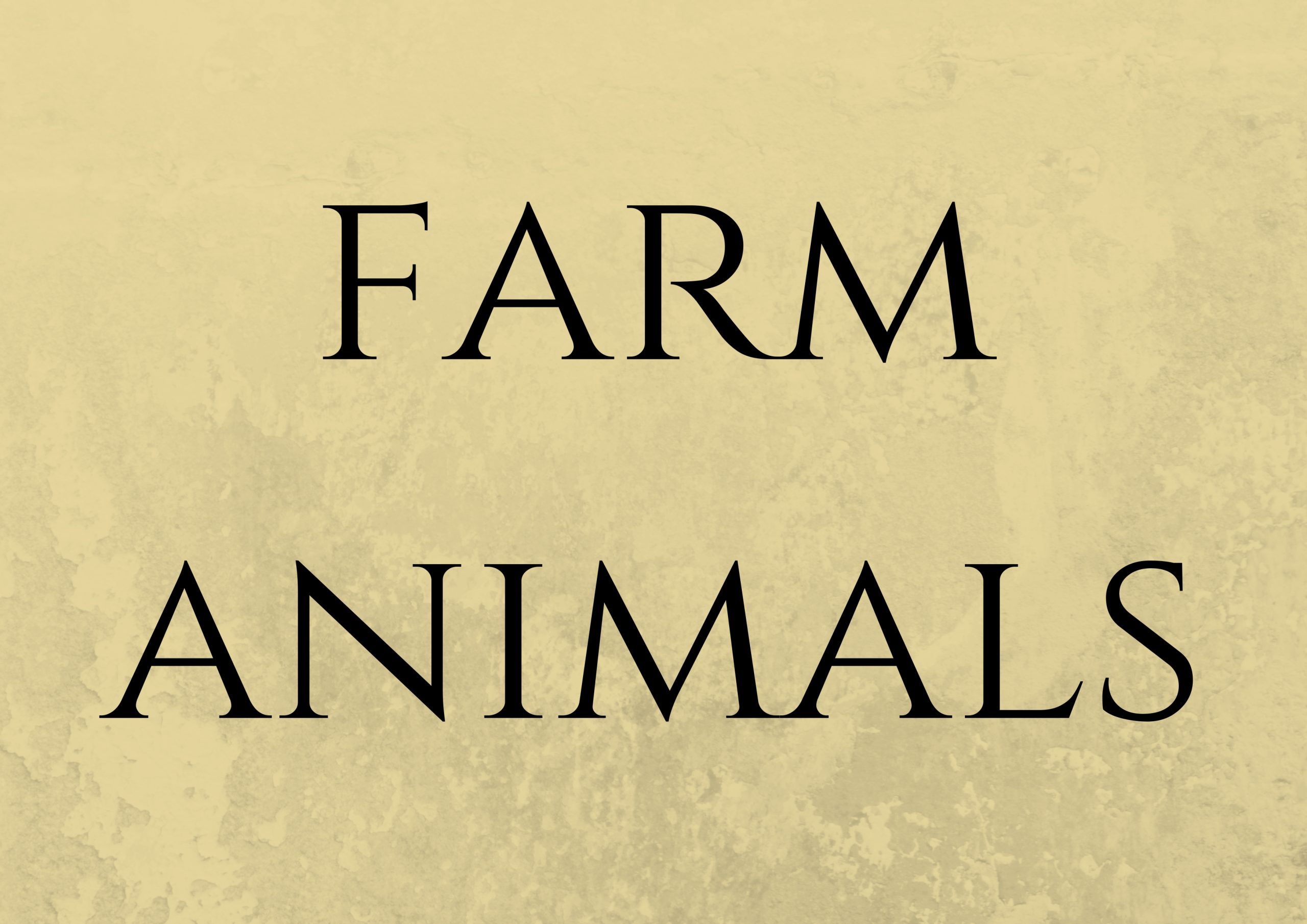 Flash cards FARM ANIMALS