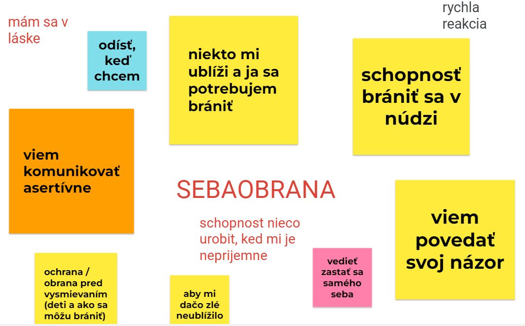 Čo pre vás znamená sebaobrana